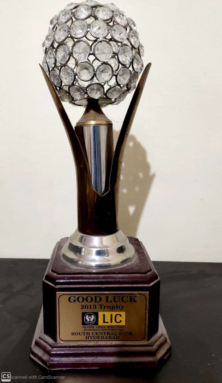 Good Luck Trophy 2013