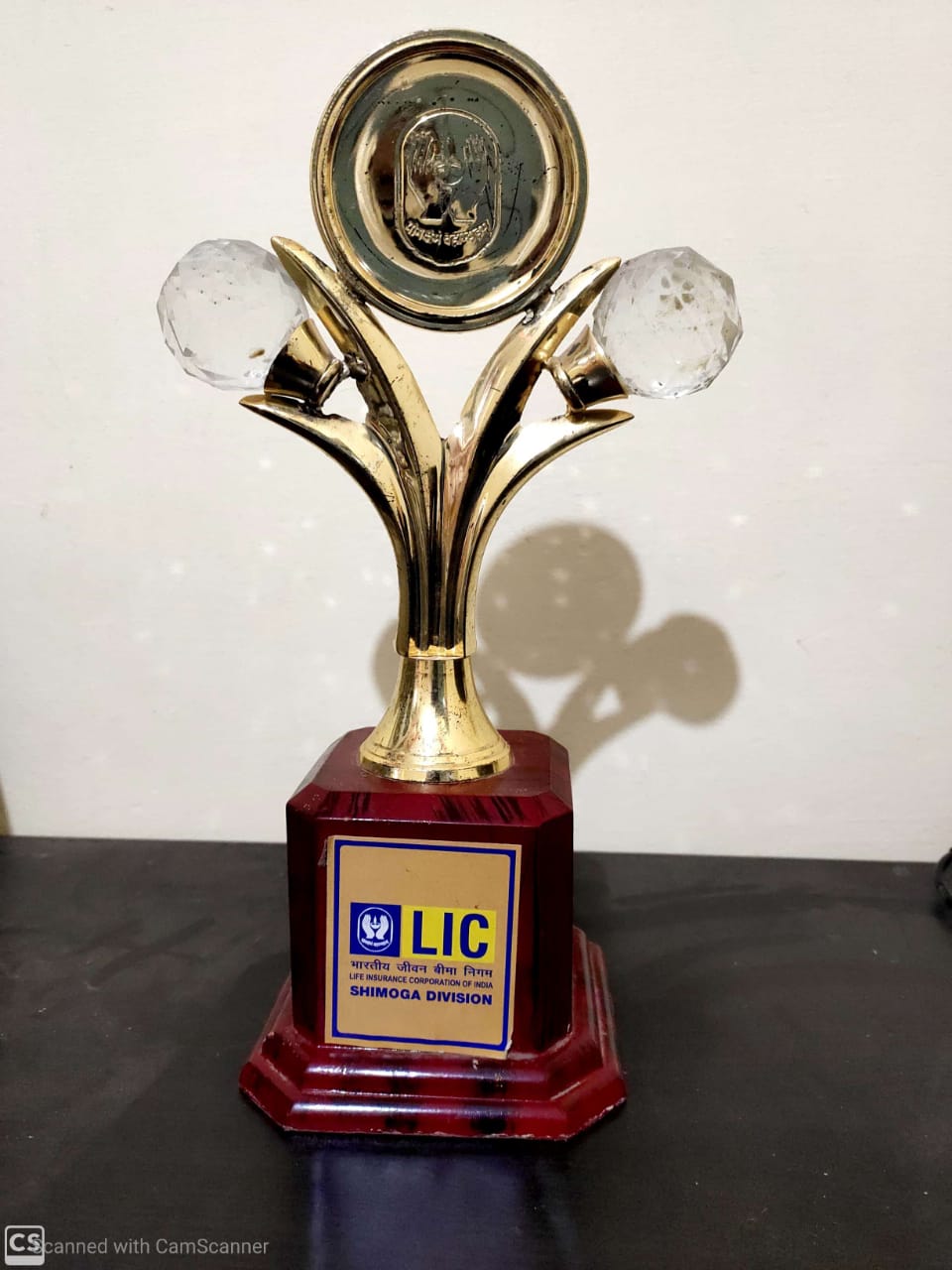 LIC Premium Topper in the Branch  2017